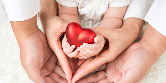 小児用超小型人工心臓の開発支援